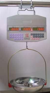 electronic price computing hanging scale  SUB-1030A 2