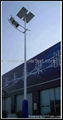 160W Hight Quatity Solar Street Lamp