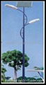 100W Solar Street Lamp