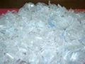 PET Bottle Flakes 1