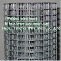 Hot dipped galvanized welded wire mesh 1