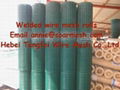 PVC coated welded wire mesh 1