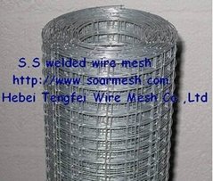 Stainless steel welded wire mesh