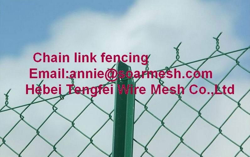 Chain link wire mesh fencing