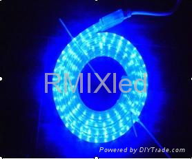 Led rope 3