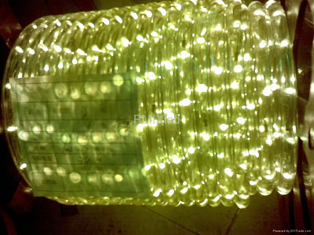 Led rope 4