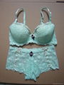 Ladies fashion underwear set