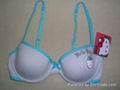 Ladies fashion bra