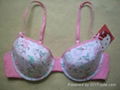 Ladies fashion bra