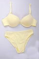 Ladies underwear set 3