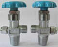 valves 5