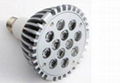 LED PAR38 light 12W-34