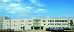 Lingyun Photoelectronic Systems Co., Ltd.