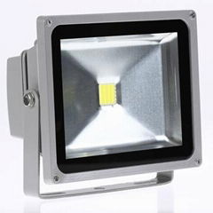 LED Floodlight