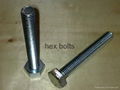 hex bolt manufacturer