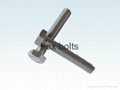 professional supplier of hex bolt