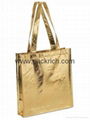 Fashion laminated non woven shopping bag 3