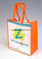 Fashion reusable non woven shopping bag