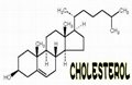 cholesterol 3
