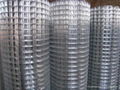 welded wire mesh 