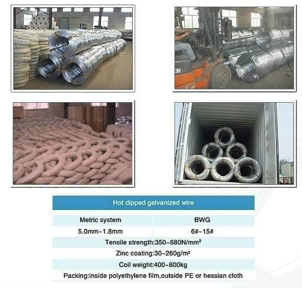 HOT dippedgalvanized wire  1