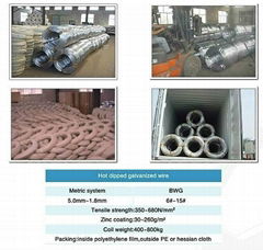 HOT dippedgalvanized wire 