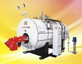 WNS Series oil/gas steam boiler 