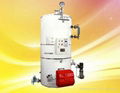 LHS series oil/gas steam boiler  1