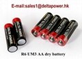 R6 UM3 AA Dry Battery  1