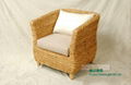 Villa simple single rattan sofa style