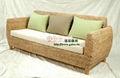 Three seagrass personality style sofa