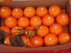 navel orange