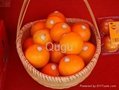 navel orange 2