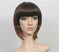 Synthetic Lace Wig 1