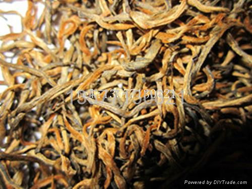 yunnan black tea