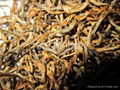 yunnan black tea 1