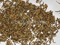 best yunnan black tea 1