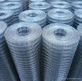 Welded Wire Mesh 1