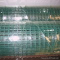 Welded Wire Mesh 2