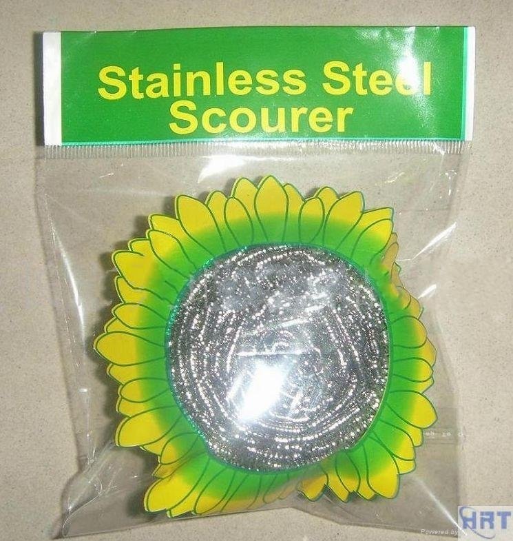 Stainless Steel scourer 2