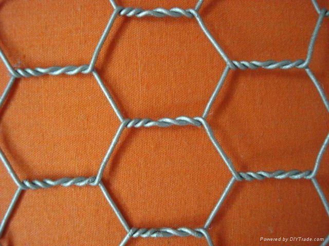 Hexagonal Wire Mesh