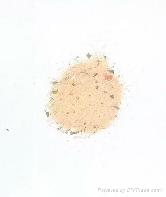 shrimpseasoning powder 2