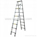 Dual Telescopic ladder 2.6m