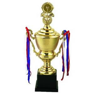 metal trophy cup