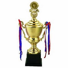 metal trophy cup