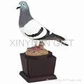 XY#1 Pigeon trophy 1