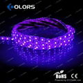 warerproof 3258SMD Flexible Led strip light 2