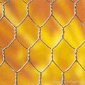 chicken mesh 2