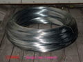 black annealed wire 