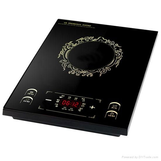 Induction Cooker 3